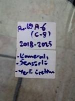 Audi A-6  C-6 2018-2025 Ön Cam (Stok Kodu: Au-69)