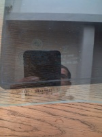 BMW	F-10	2010-2016	Sağ Arka Kapı Camı	(Stok Kodu:	Bm-30)