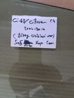 Citroen 	C-4 	Sağ Arka Kapı Camı 	2004-2010	(Stok Kodu:	Ci-63)