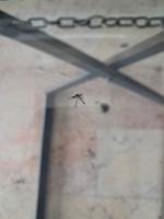 Dacia	Dokker	Ön Cam	2012-2022	(Stok Kodu:	Da-3)