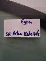 Egea Sol Arka Kelebek Camı