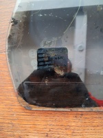 Hyundai 	Santa Fe	2006-2012	Sağ Arka Kelebek Camı	(Stok Kodu:	Hy-51)