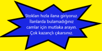 Peugeot 206 Sol Arka (3 Delik) Yan Sabit Camı (Stok Kodu: Pe-6)