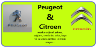 Peugeot 307 Sağ Ön Kelebek Camı 2002- (Stok Kodu: Pe-3)