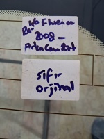 Renault Fluence Arka Cam (Stok Kodu: Re-46)