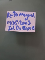 Renault Megane I Sol Ön Kapı Camı 1995-2003 (Stok Kodu: Re-70)