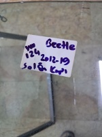 Volkswagen Beetle 2012-2019 Sol Ön Kapı Camı (Stok Kodu: VW-124)