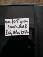 Volkswagen Tiguan Sağ Arka Kelebek Camı (Stok Kodu: VW-80)