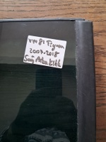 Volkswagen Tiguan Sağ Arka Kelebek Camı (Stok Kodu: VW-81)